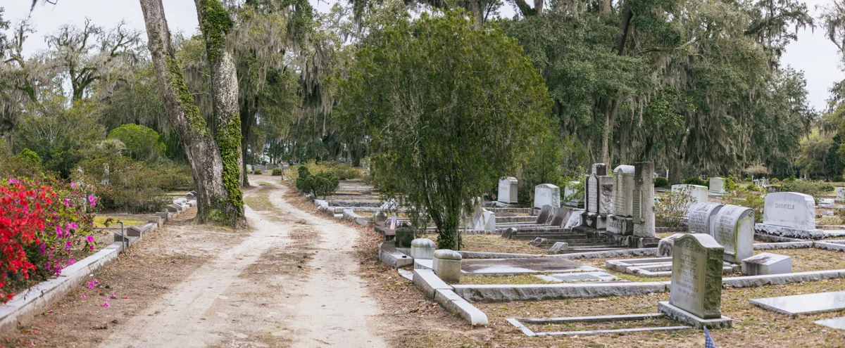 A sandy road between graves and oaks in Bonaventure Cemetery, the daytime side of ghost tours in Savannah GA